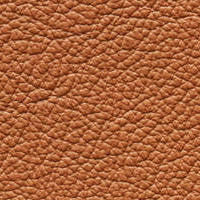 Paloma New Cognac leather swatch.