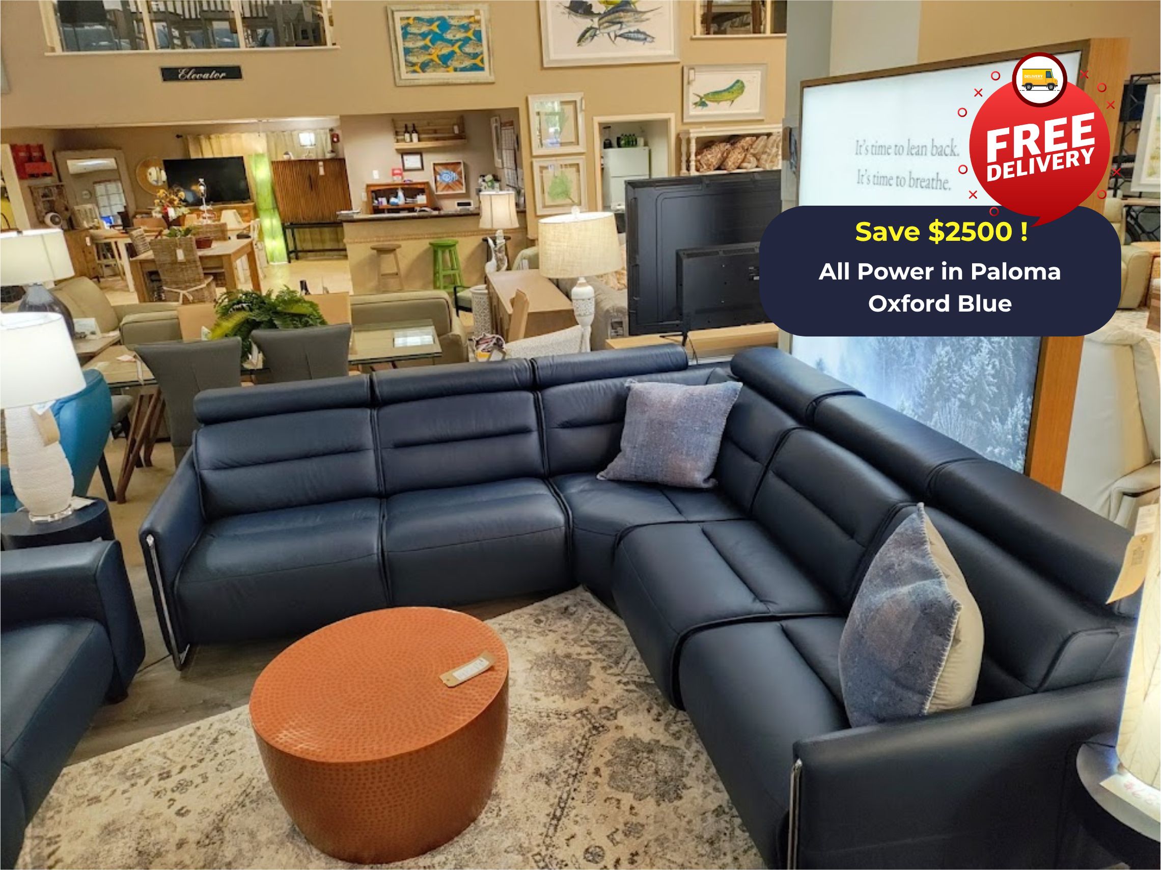 In Stock Special-Emily Sofa Sectional